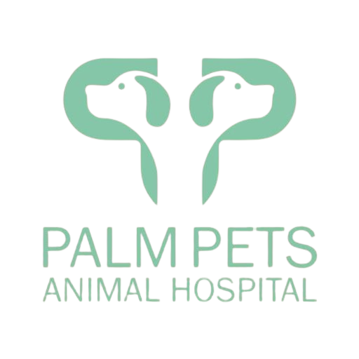 palmpetsvethospital